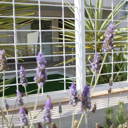 The Pink Lagoon House טורבייחה